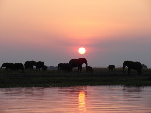 motorreis Namibië, motorreizen Namibië, motorvakantie Namibië, motorreis Zuid-Afrika, motorreizen Zuid-Afrika, motorvakantie Zuid-Afrika, motorreis zuidelijk Afrika, motorreizen zuidelijk Afrika, motorvakantie zuidelijk Afrika, motorreis Afrika, motorvakantie Afrika, motorreizen Afrika, Zulu Overland motorreis, Zulu Overland motorreizen, Zulu Overland motorvakantie, motorreis Botswana, motorreizen Botswana, motorvakantie Botswana