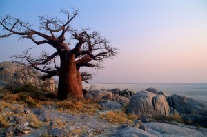 motorreis Namibië, motorreizen Namibië, motorvakantie Namibië, motorreis Zuid-Afrika, motorreizen Zuid-Afrika, motorvakantie Zuid-Afrika, motorreis zuidelijk Afrika, motorreizen zuidelijk Afrika, motorvakantie zuidelijk Afrika, motorreis Afrika, motorvakantie Afrika, motorreizen Afrika, Zulu Overland motorreis, Zulu Overland motorreizen, Zulu Overland motorvakantie, motorreis Botswana, motorreizen Botswana, motorvakantie Botswana
