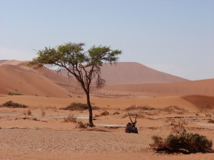 motorreis Namibië, motorreizen Namibië, motorvakantie Namibië, motorreis Zuid-Afrika, motorreizen Zuid-Afrika, motorvakantie Zuid-Afrika, motorreis zuidelijk Afrika, motorreizen zuidelijk Afrika, motorvakantie zuidelijk Afrika, motorreis Afrika, motorvakantie Afrika, motorreizen Afrika, Zulu Overland motorreis, Zulu Overland motorreizen, Zulu Overland motorvakantie, motorreis Botswana, motorreizen Botswana, motorvakantie Botswana
