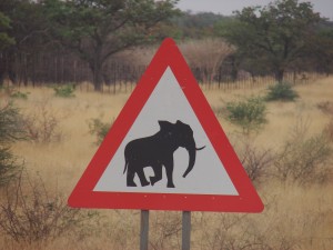 motorreis Namibië, motorreizen Namibië, motorvakantie Namibië, motorreis Zuid-Afrika, motorreizen Zuid-Afrika, motorvakantie Zuid-Afrika, motorreis zuidelijk Afrika, motorreizen zuidelijk Afrika, motorvakantie zuidelijk Afrika, motorreis Afrika, motorvakantie Afrika, motorreizen Afrika, Zulu Overland motorreis, Zulu Overland motorreizen, Zulu Overland motorvakantie, motorreis Botswana, motorreizen Botswana, motorvakantie Botswana