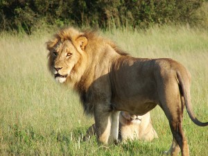 motorreis Namibië, motorreizen Namibië, motorvakantie Namibië, motorreis Zuid-Afrika, motorreizen Zuid-Afrika, motorvakantie Zuid-Afrika, motorreis zuidelijk Afrika, motorreizen zuidelijk Afrika, motorvakantie zuidelijk Afrika, motorreis Afrika, motorvakantie Afrika, motorreizen Afrika, Zulu Overland motorreis, Zulu Overland motorreizen, Zulu Overland motorvakantie, motorreis Botswana, motorreizen Botswana, motorvakantie Botswana